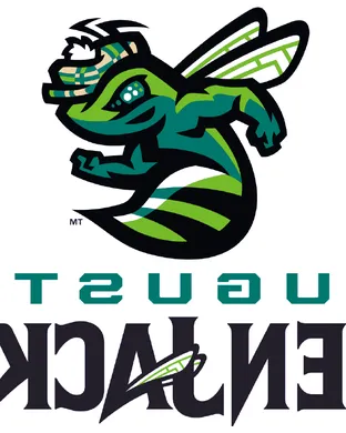 Augusta Greenjackets Fayetteville