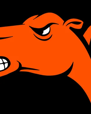 Campbell Fighting Camels Wilmington