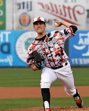 Delmarva Shorebirds Fayetteville