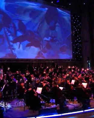 Fantasia Fayetteville