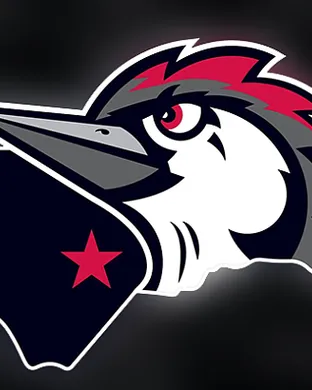 Fayetteville Woodpeckers vs. Salem Baseball