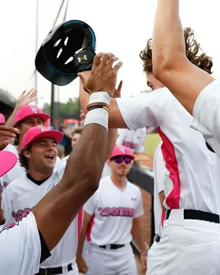 Florence Flamingos Wilmington