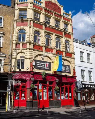 The Lion Wilmington